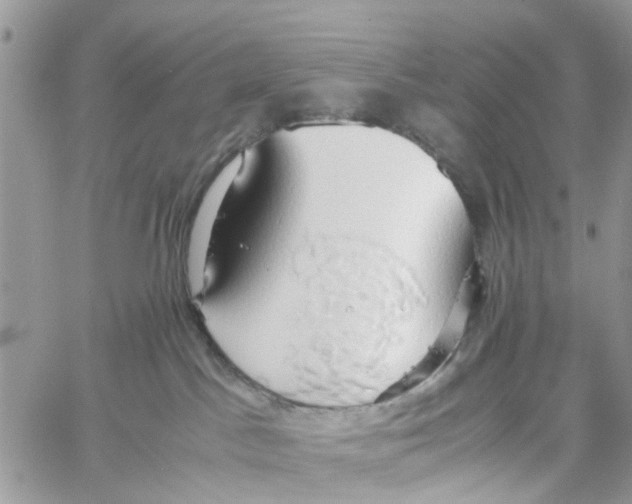 X0000058130045200510212056