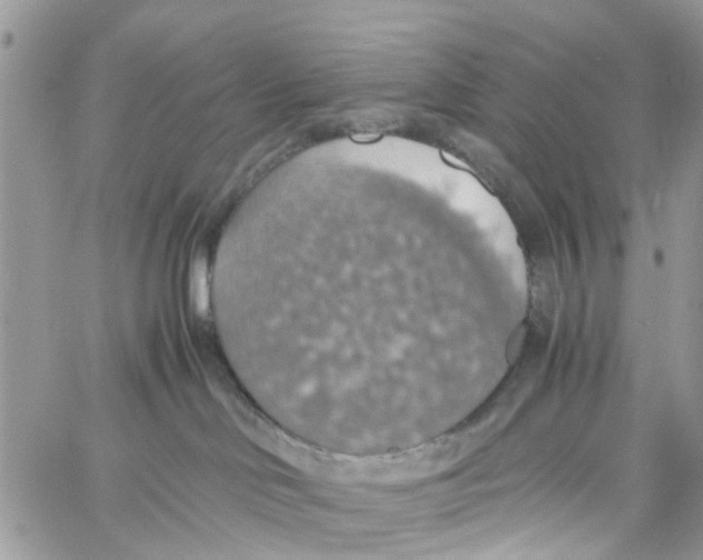 X0000058130046200510212056