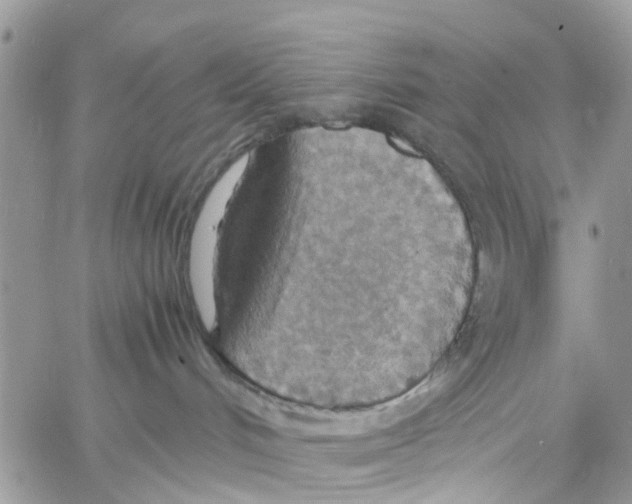 X0000058130048200510212056