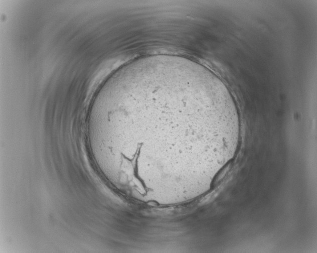 X0000058130049200510212056