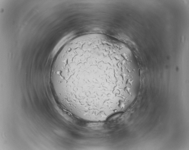 X0000058130051200510212056