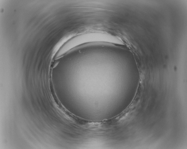 X0000058130052200510212056