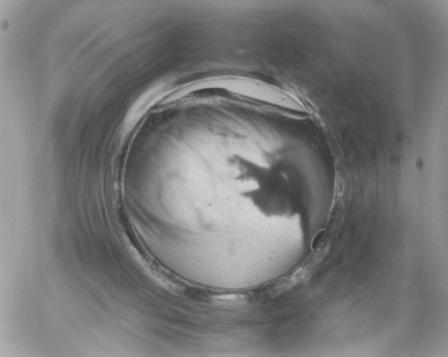 X0000058130053200510212056