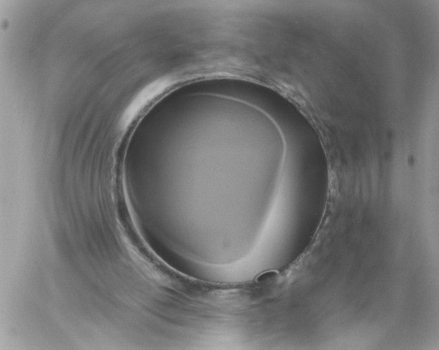 X0000058130054200510212056