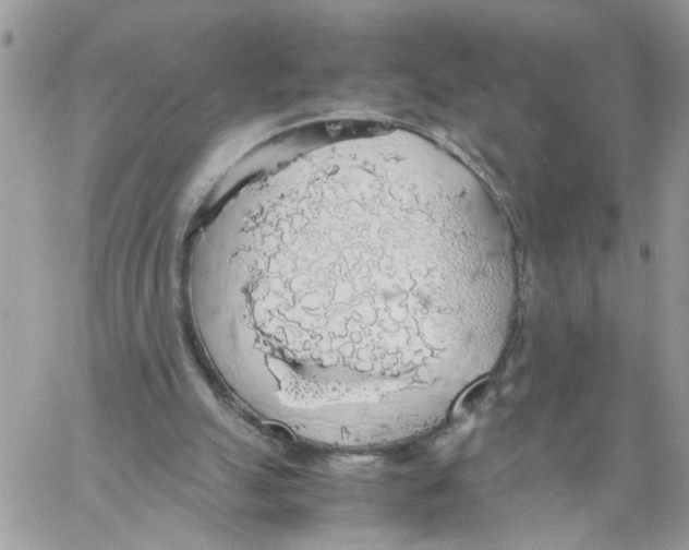 X0000058130055200510212056