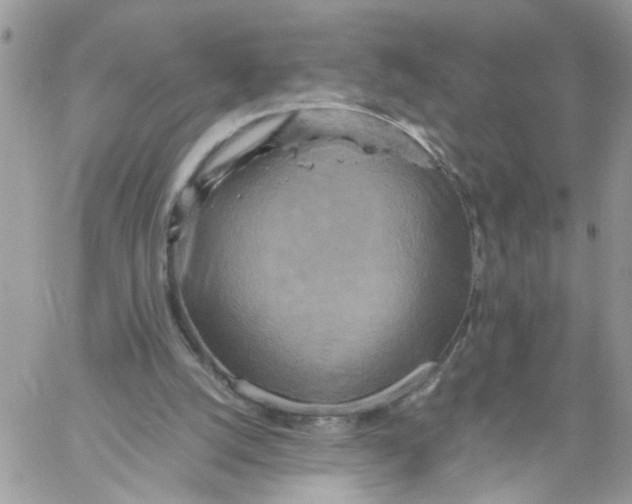 X0000058130056200510212056