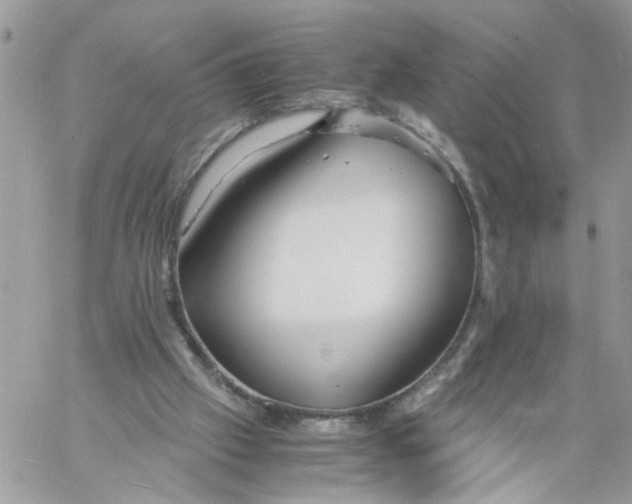 X0000058130057200510212056