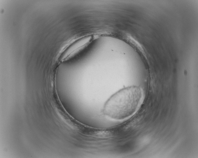 X0000058130059200510212056