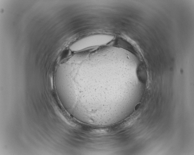 X0000058130061200510212056