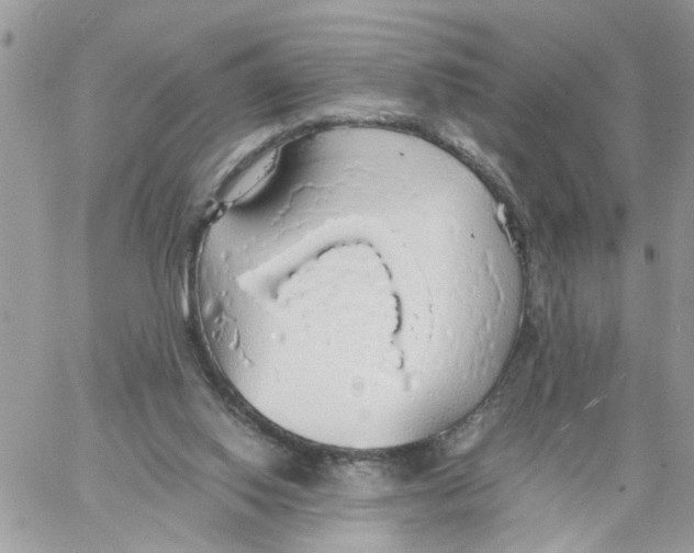 X0000058130062200510212056