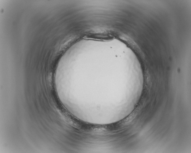 X0000058130066200510212056