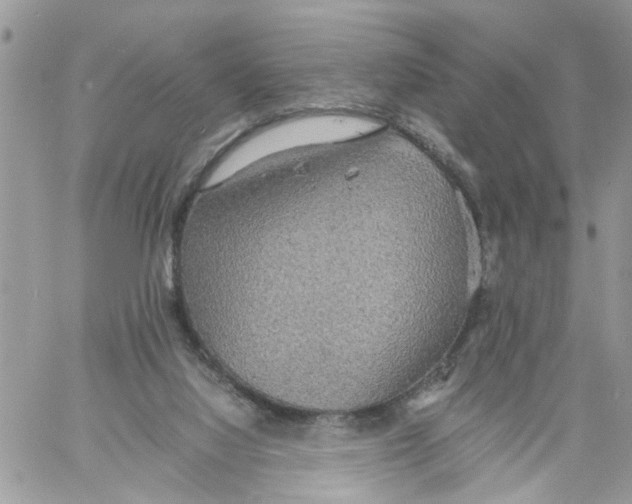 X0000058130068200510212056