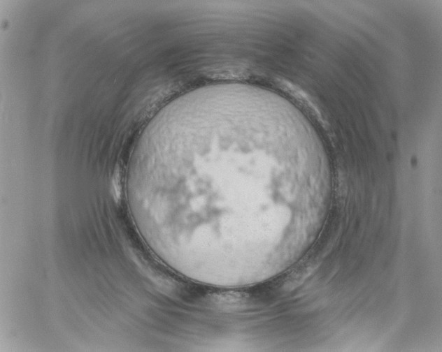 X0000058130069200510212056