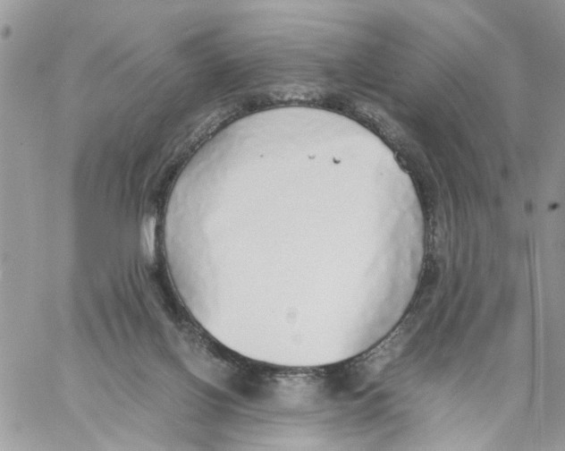 X0000058130070200510212056