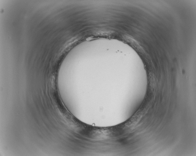 X0000058130071200510212056