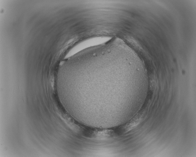 X0000058130072200510212056