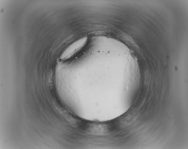 X0000058130073200510212056