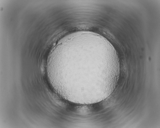 X0000058130074200510212056