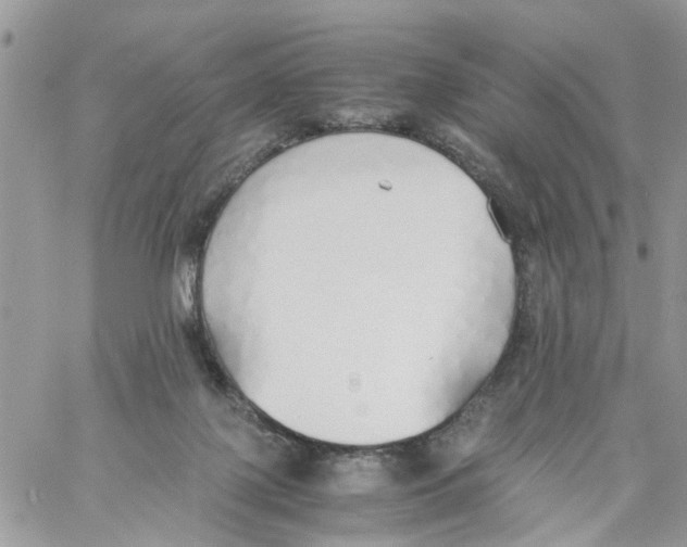 X0000058130075200510212056