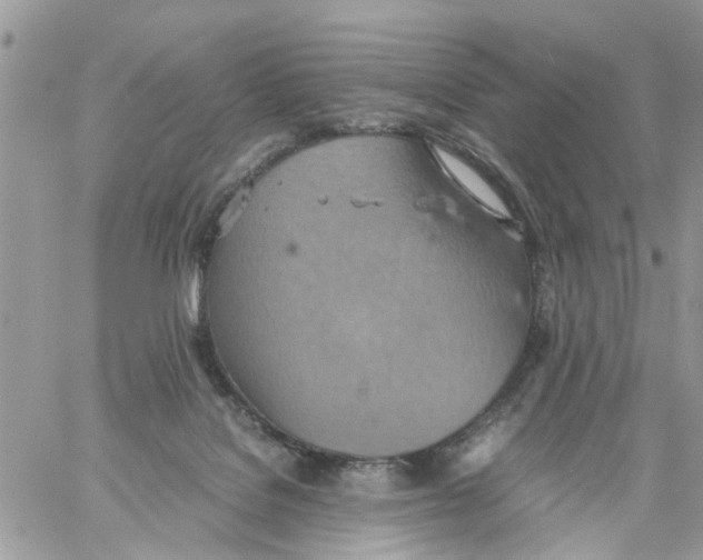 X0000058130076200510212056