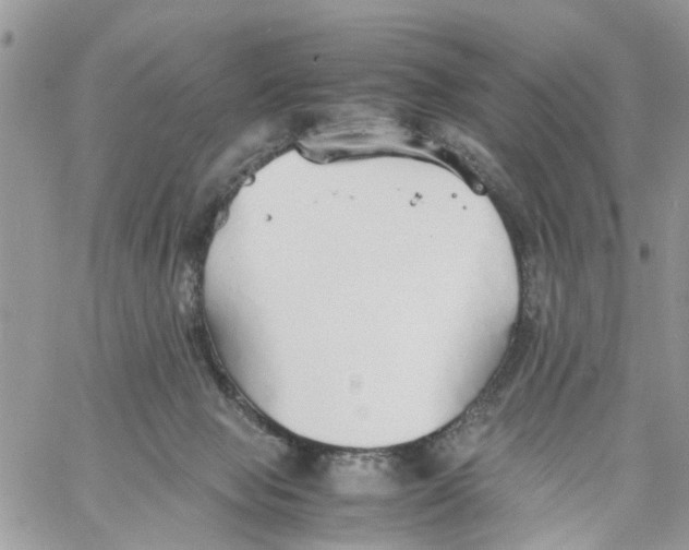 X0000058130077200510212056