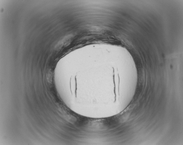 X0000058130078200510212056