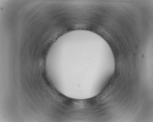 X0000058130079200510212056