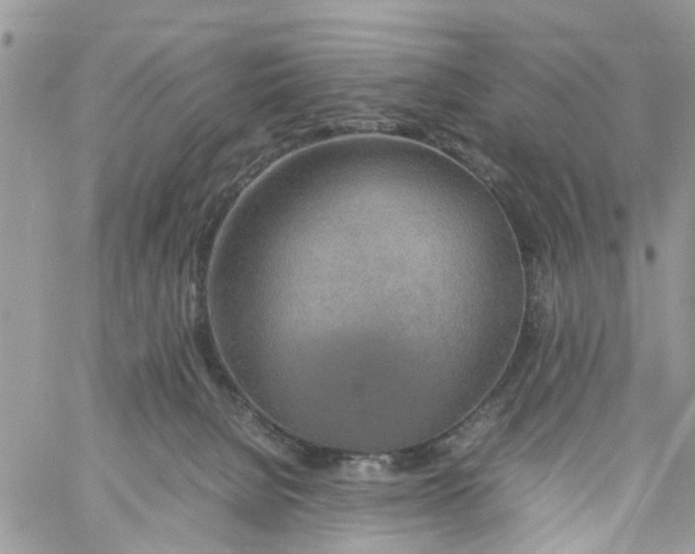 X0000058130080200510212056