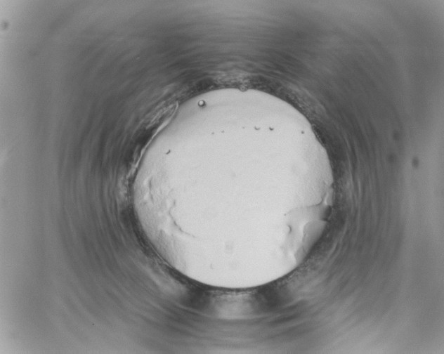 X0000058130081200510212056