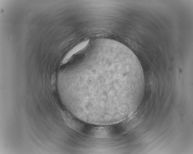 X0000058130082200510212056