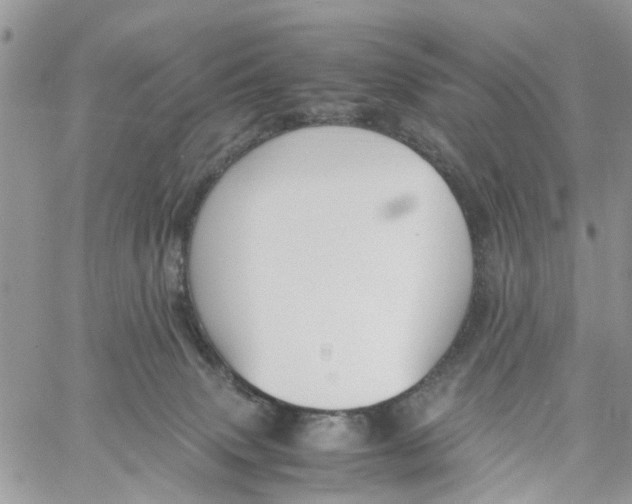 X0000058130083200510212056