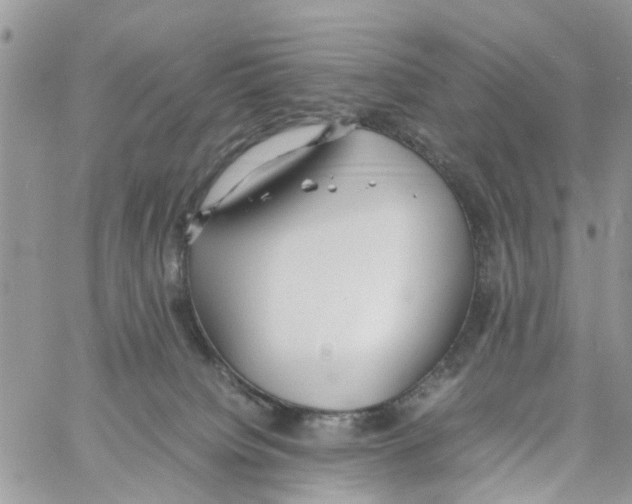 X0000058130084200510212056