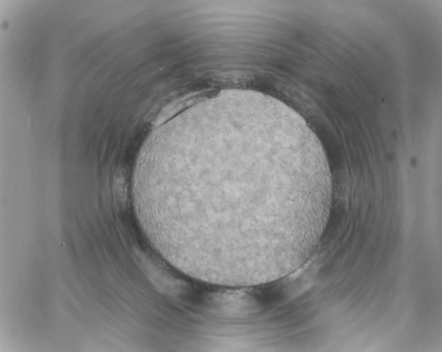 X0000058130086200510212056