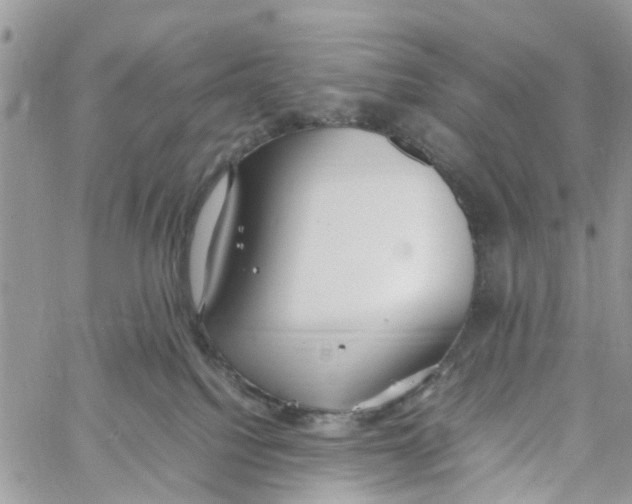 X0000058130088200510212056