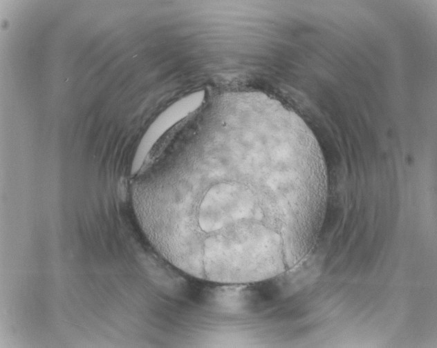 X0000058130090200510212056