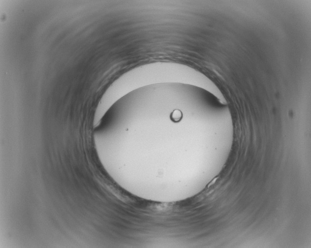 X0000058130092200510212056