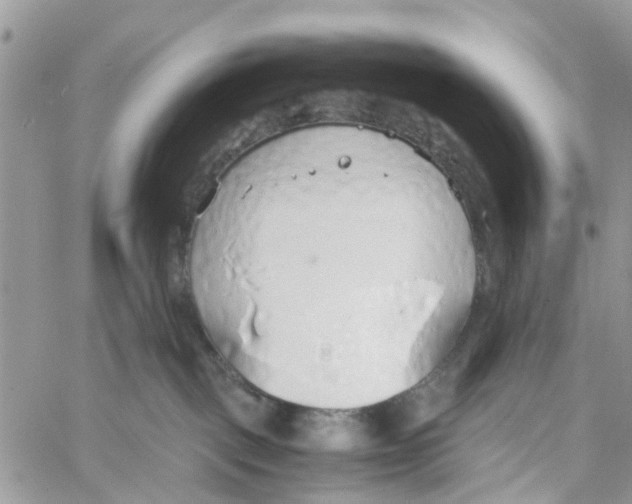 X0000058130093200510212056