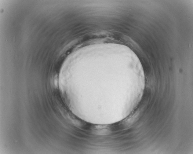 X0000058130095200510212056