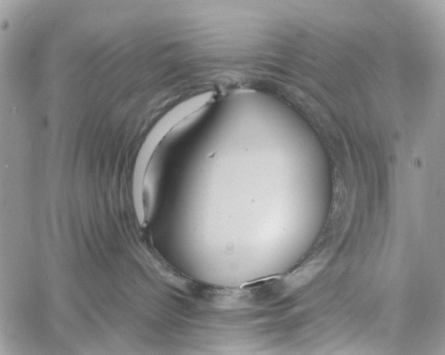 X0000058130096200510212056