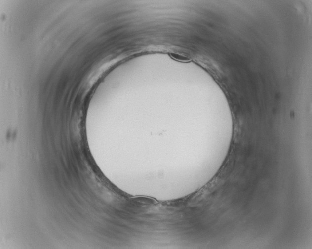 X0000058130098200510212056