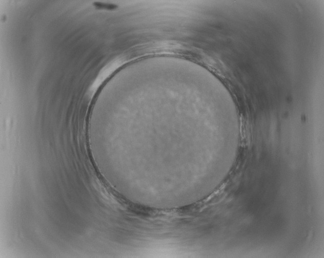 X0000058130099200510212056