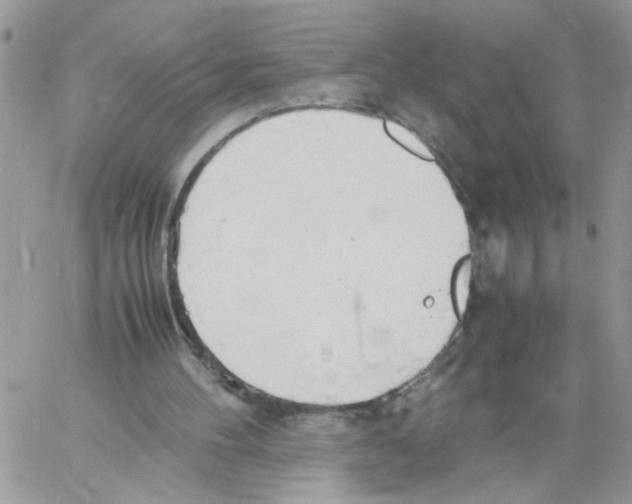 X0000058130100200510212056