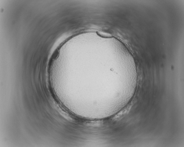 X0000058130102200510212056