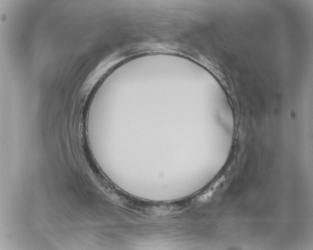 X0000058130103200510212056