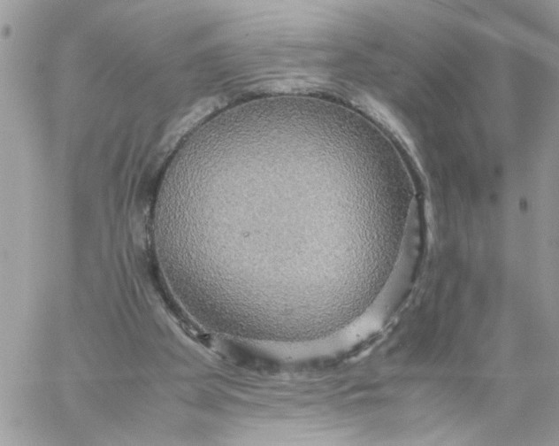 X0000058130105200510212056