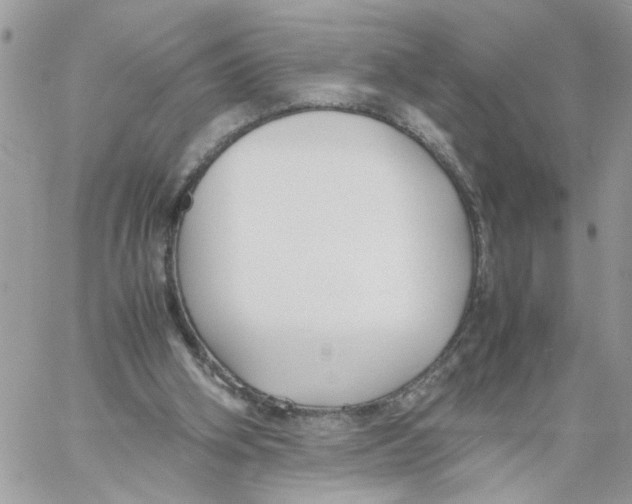 X0000058130106200510212055