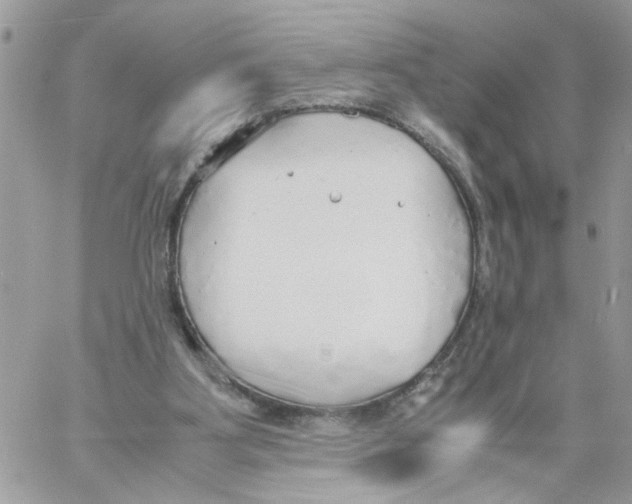 X0000058130107200510212055