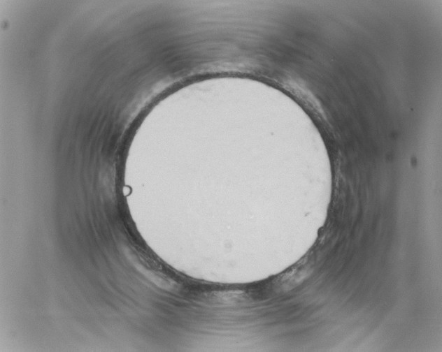 X0000058130108200510212055