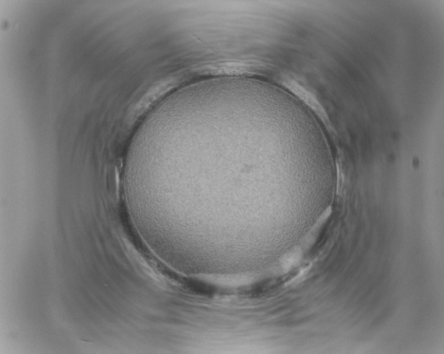 X0000058130109200510212055