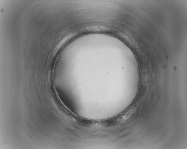 X0000058130111200510212055